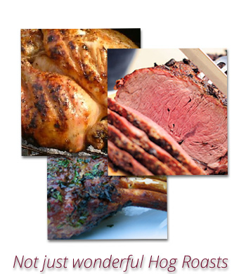 hog roast bbq plymouth devon, wedding hog roast bbq plymouth devon, hog roast south hams, hog roast bbq saltash cornwall, corporate hog roast bbq, event hog roast bbq, evening hog roast bbq